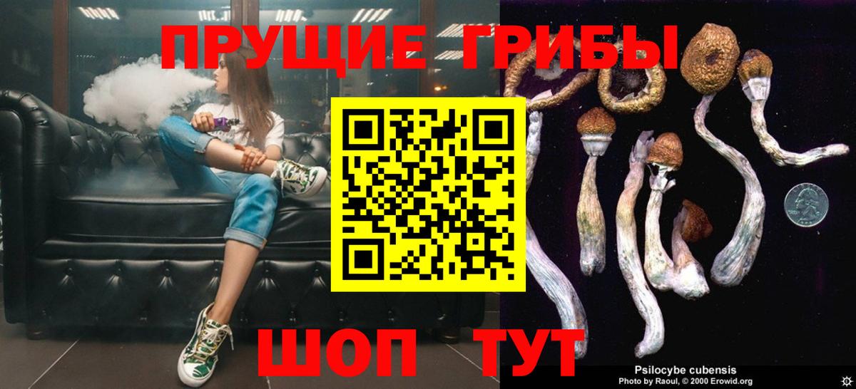 Галлюциногенные грибы мицелий  Вход с VPN  Псилоцибиновые грибы MAGIC MUSHROOMS  Городец 