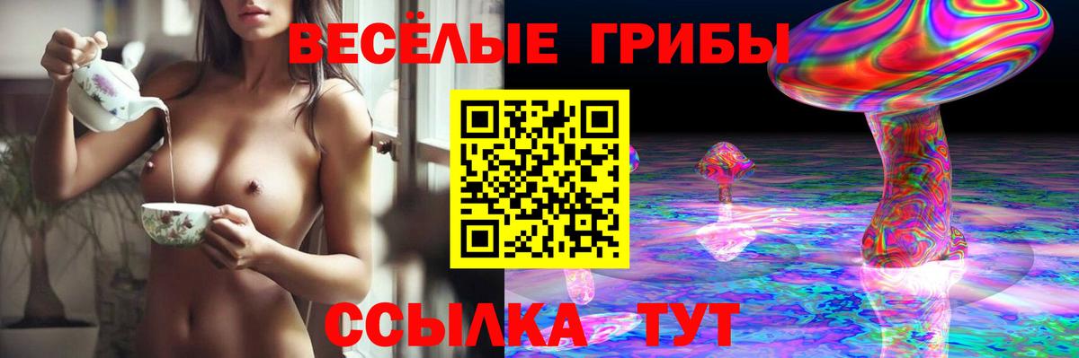 Галлюциногенные грибы прущие грибы Городец
